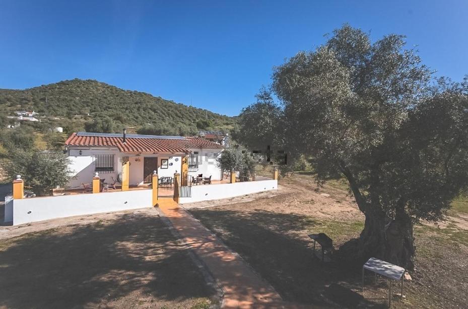 Casa Rural Los Naranjo ヘレス・デ・ロス・カバジェロス エクステリア 写真